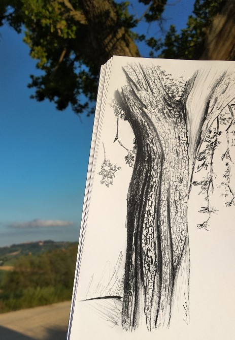 nature sketch with background