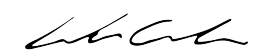 leonardo criolani firma sign