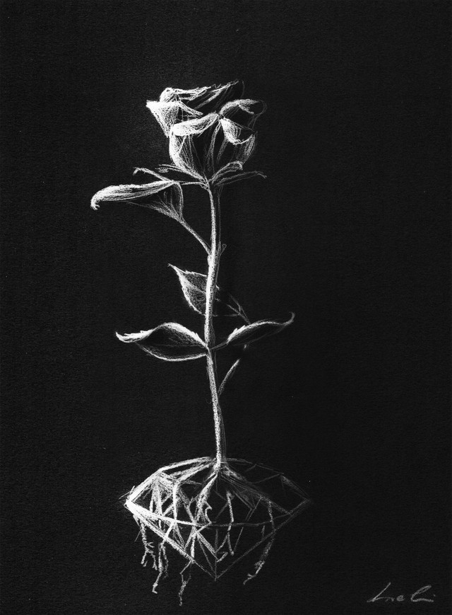 flower-sketch-on-black-paper-1.jpg