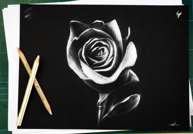 rose-sketch-on-black-paper.jpg